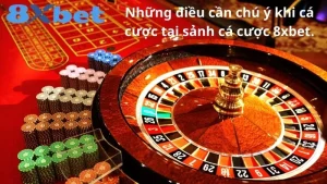 Một số lưu ý khi tham gia cá cược tại sảnh cá cược 8xbet